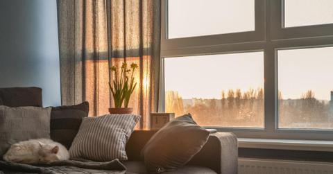 wp content/uploads///image