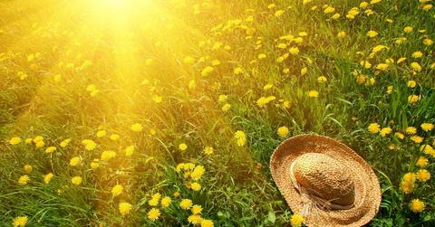 wp content/uploads///Summer main