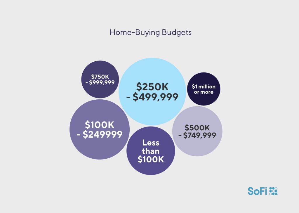 sofi homebuyer survey
