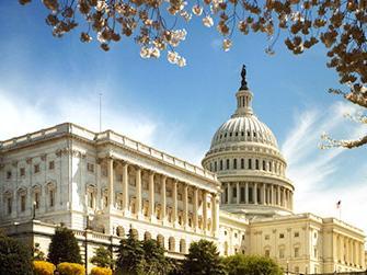 wp content/uploads///elections bombshell