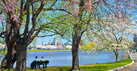 Jorge Salcedo // Shutterstock