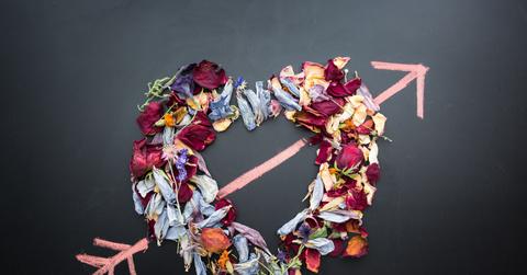 wp content/uploads///denise johnson siRbJlln xA unsplash