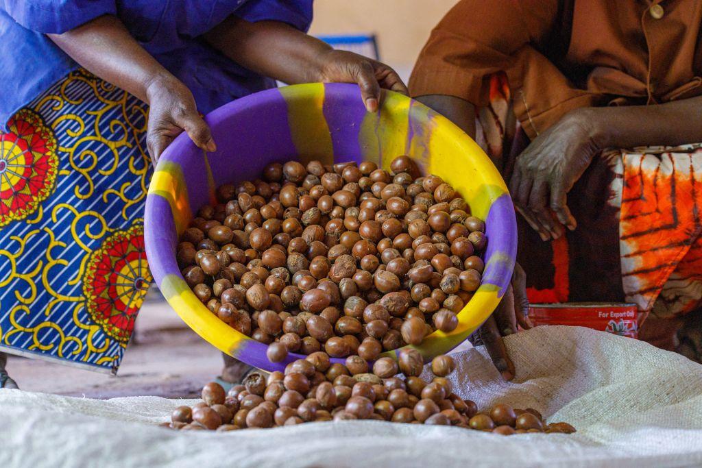 A women empties a bucket of shea nuts.