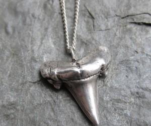 wp content/uploads///Metalicious