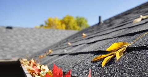 Study reveals 40% of homes damaged by clogged gutters