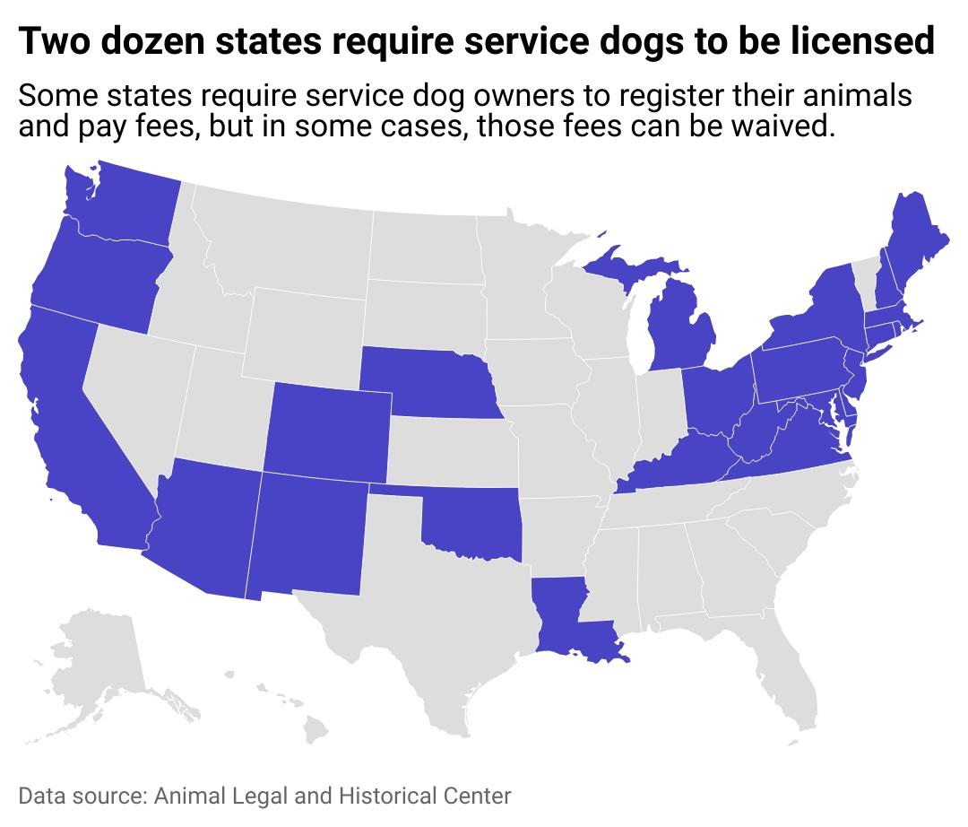 servicedoglawsawtertwodozenstatesrequireservicedogstobelicensedghel