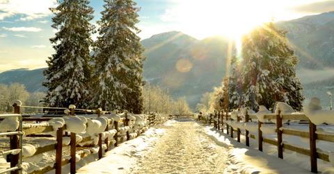 wp content/uploads///bombshell jackets