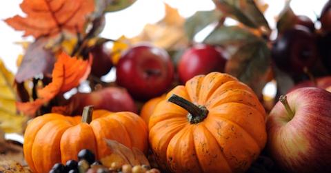 wp content/uploads///fall