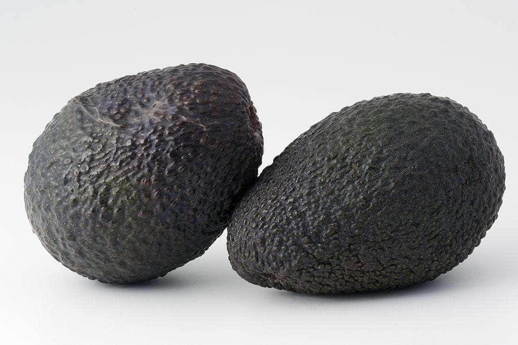 Avocados