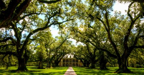 Pinterest and the Knot