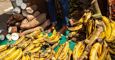 wp content/uploads///eva blue unsplash e