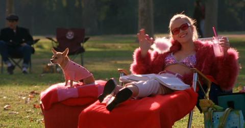 wp content/uploads///sorority