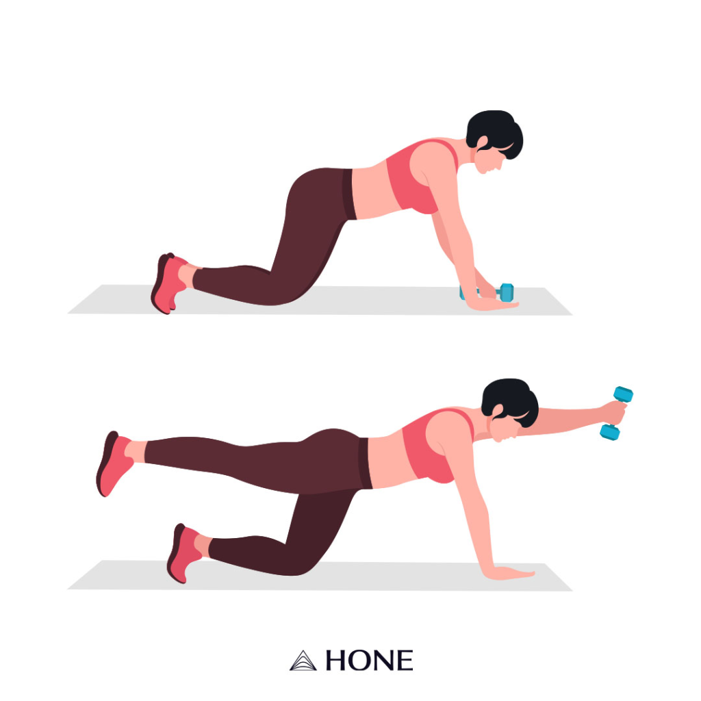 menopause belly exercises bird dogs