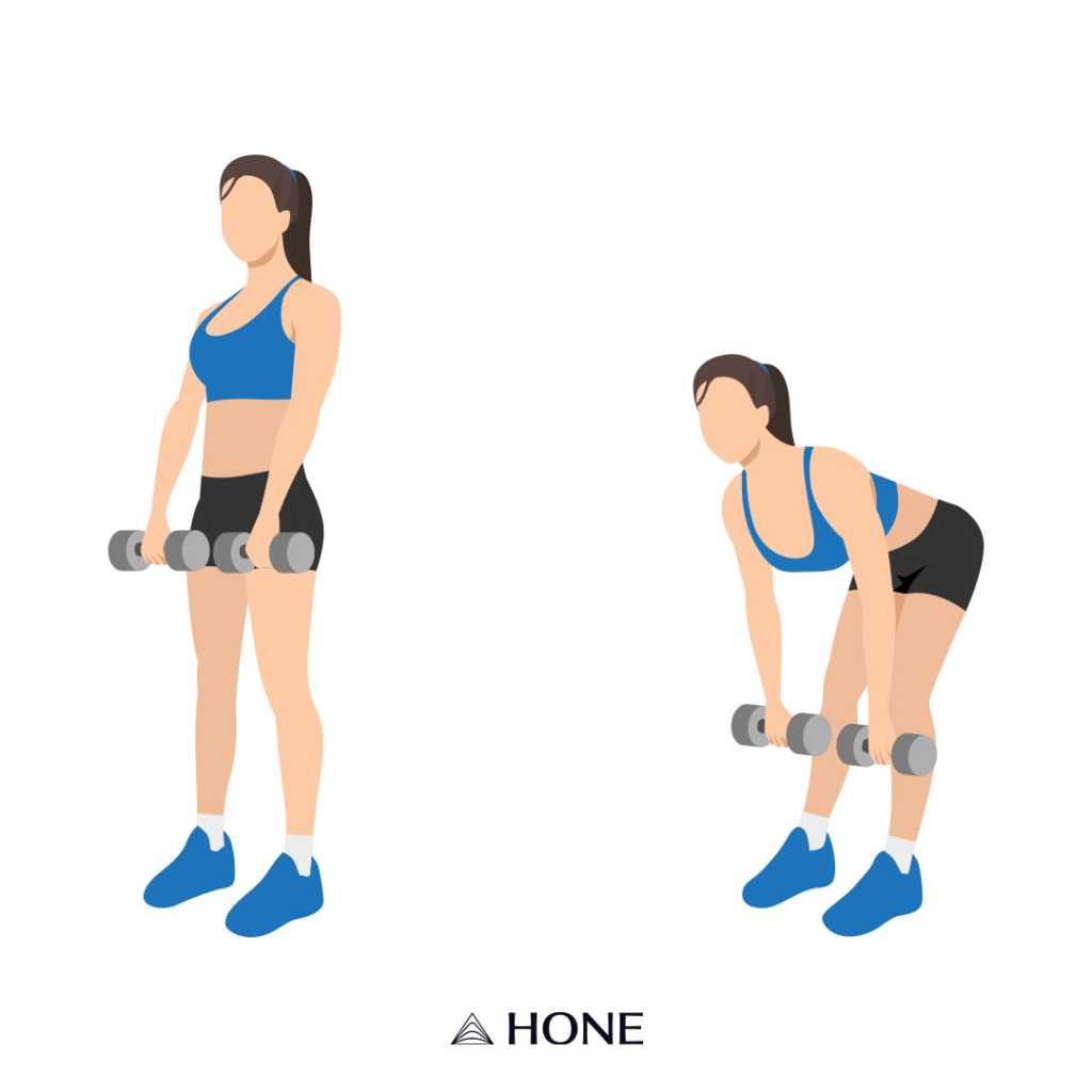 menopause belly exercises dumbbell deadlifts