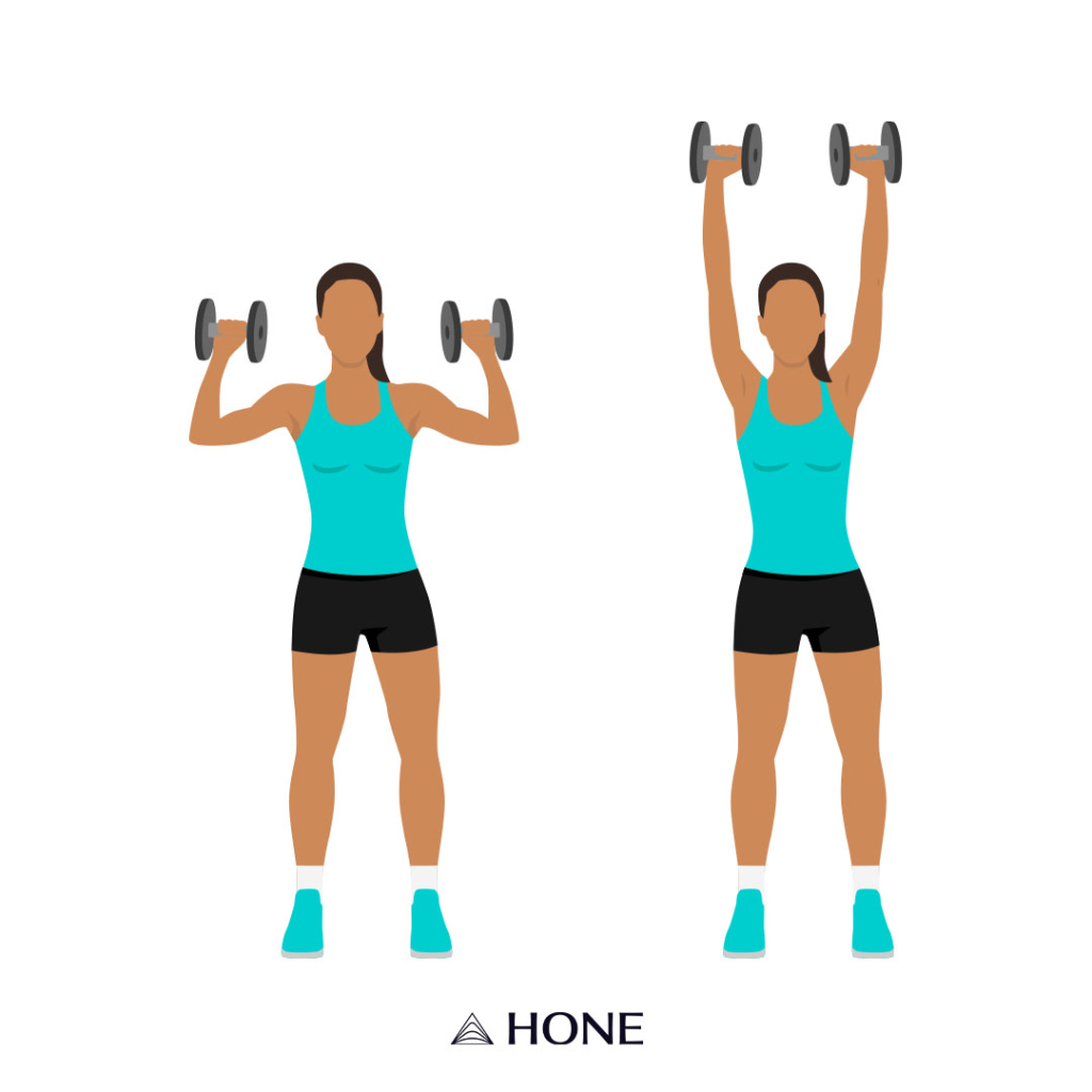 menopause belly exercises dumbbell shoulder press