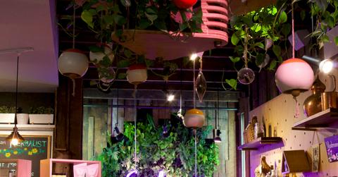 wp content/uploads///IMG_